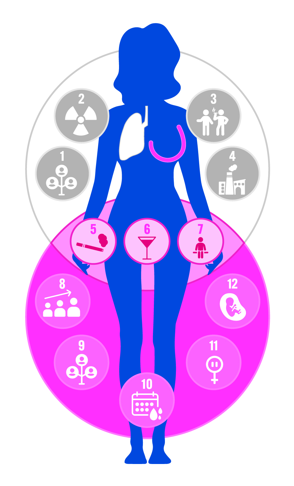 Lung and Breast Cancer Venn Diagram Lung and Breast Cancer Venn Diagram