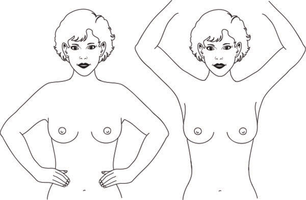 Breast Self Exam How To